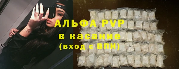 ПСИЛОЦИБИНОВЫЕ ГРИБЫ Белоозёрский