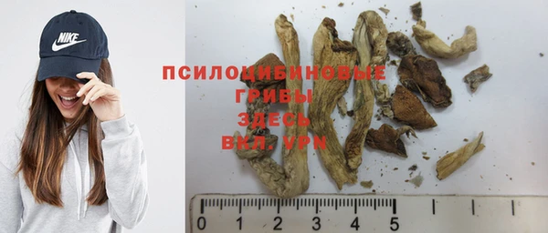 героин Белокуриха