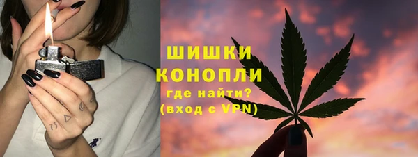 ПСИЛОЦИБИНОВЫЕ ГРИБЫ Белоозёрский