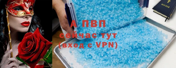 стафф Богородск